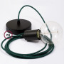 Pendel-singolo-lampada-sospensione-cavo-tessile-Effetto-Seta-Verde-scuro-RM21-122522894030-5