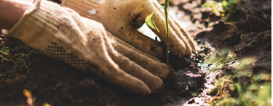 Giardinaggio e Agricoltura